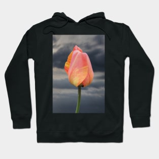 The Multi-colour Tulip Hoodie